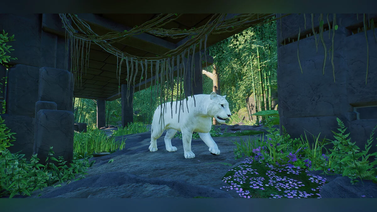 Planet Zoo — Вариант бенгальского тигра