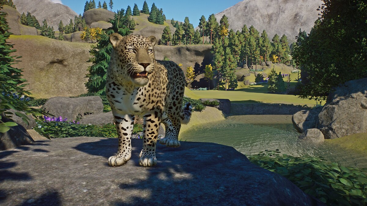 Planet Zoo — Персидский леопард - новые виды