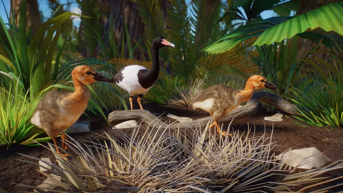 Planet Zoo — Сорока-гусь - новый вид