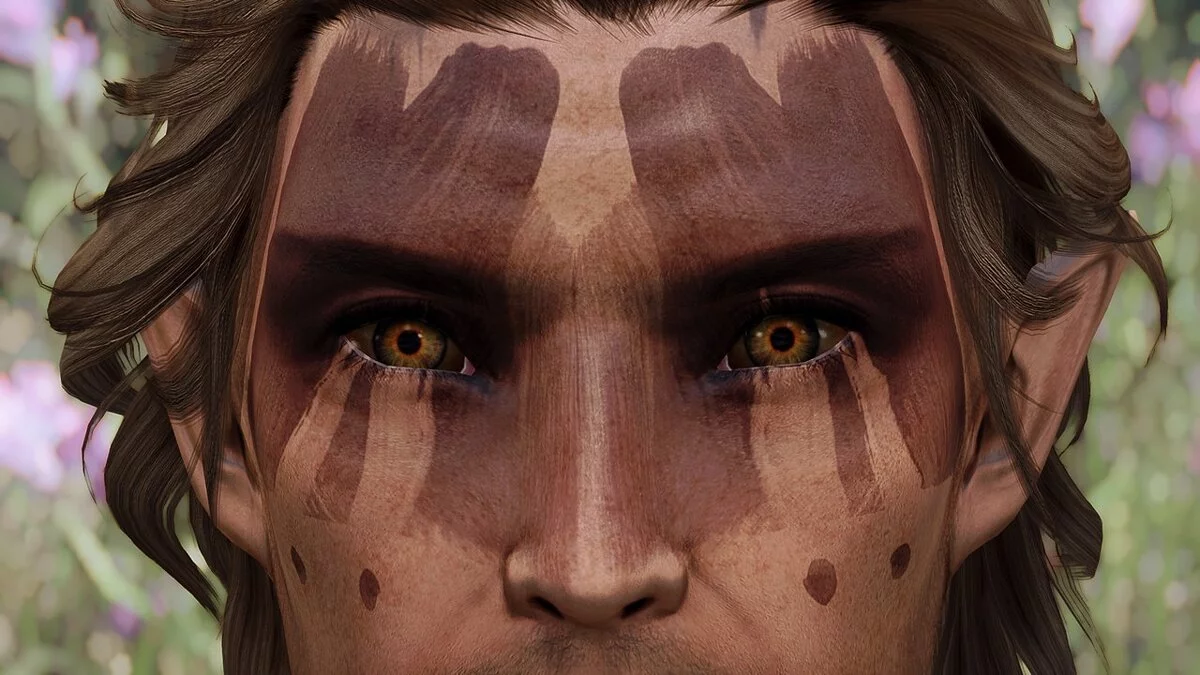 Elder Scrolls 5: Skyrim Special Edition — Мистические глаза