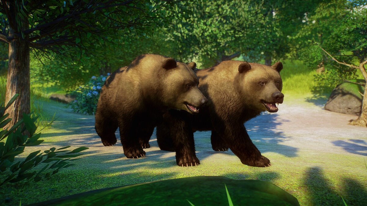 Planet Zoo — Евразийский бурый медведь - новый вид