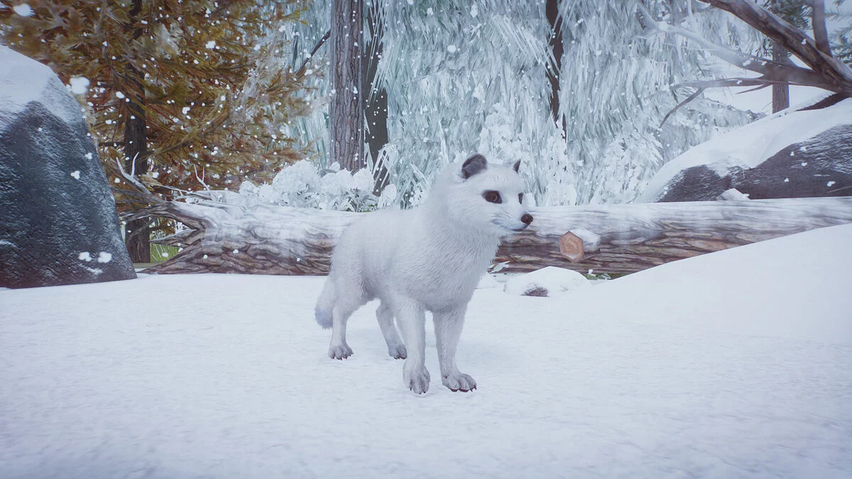 Planet Zoo — Песец - новые виды