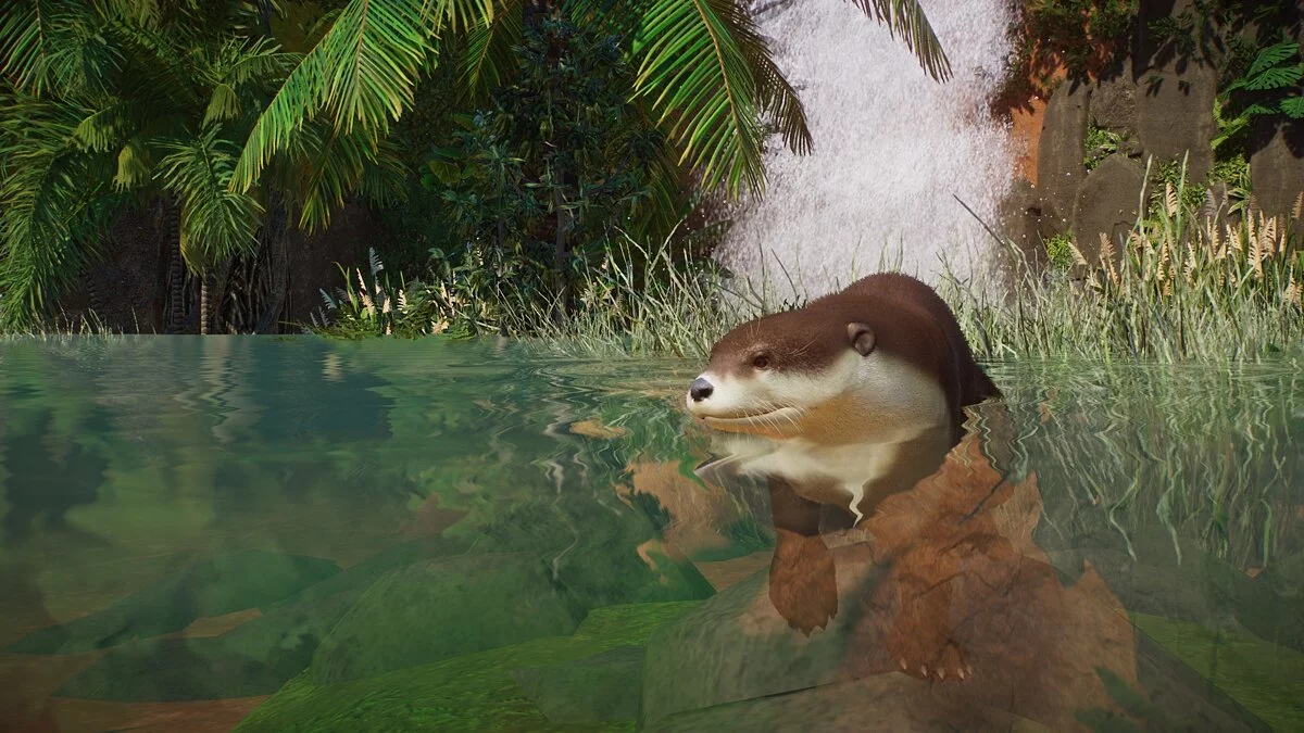 Planet Zoo — Азиатская малокогтистая выдра (новый вид)