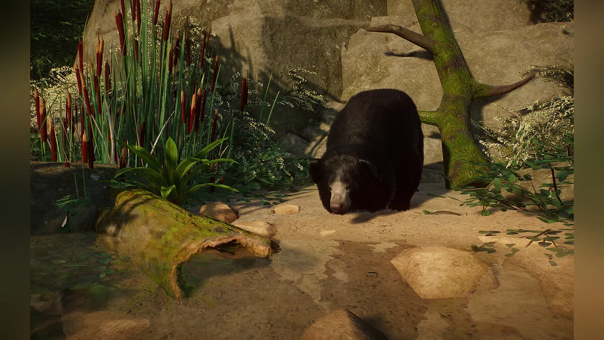 Planet Zoo — Новый вид - медведь-ленивец