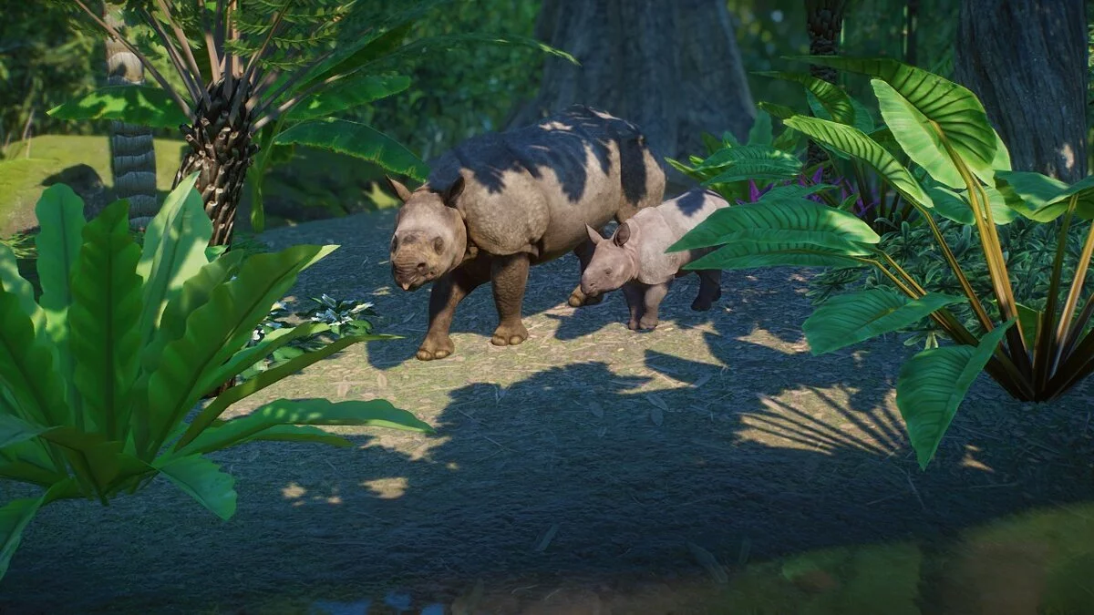 Planet Zoo — Яванский носорог - новые виды