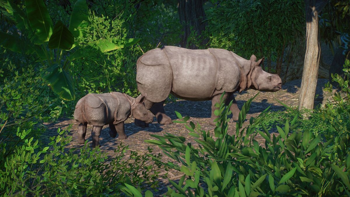 Planet Zoo — Яванский носорог - новые виды