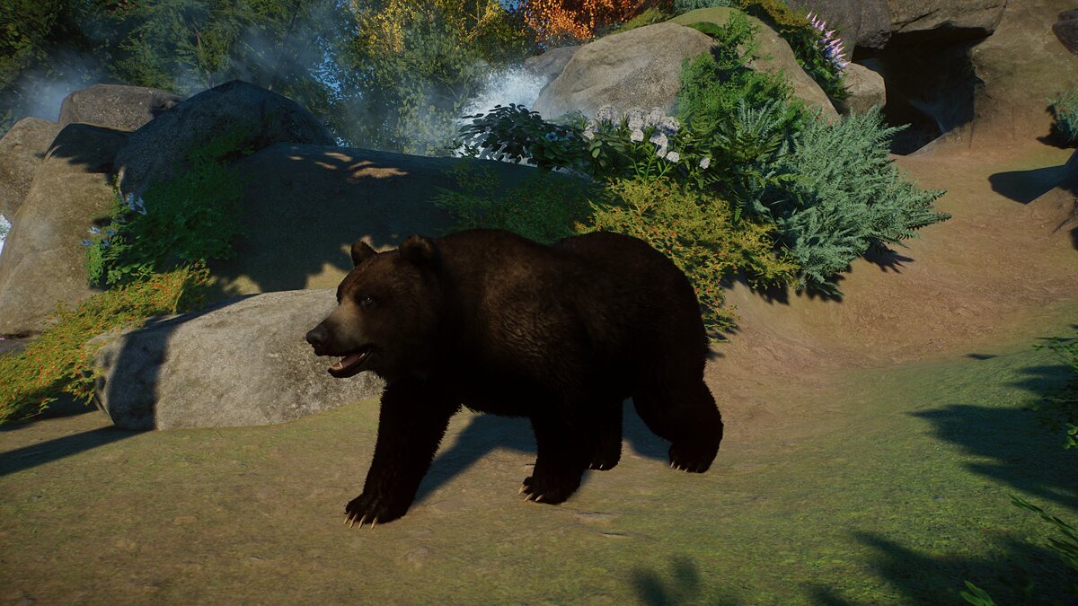 Planet Zoo — Уссурийский бурый медведь - новый вид
