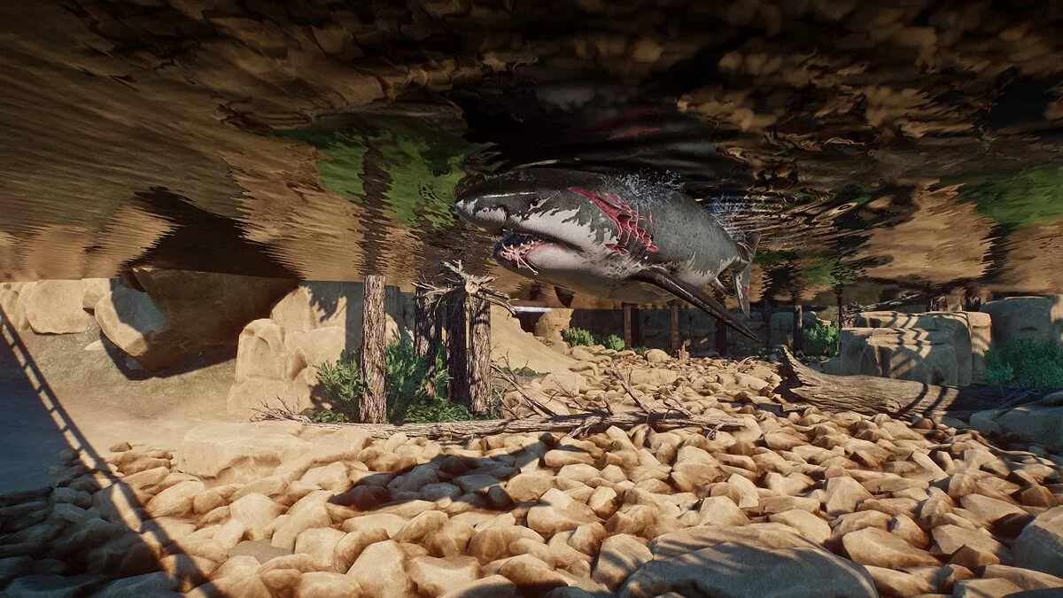 Planet Zoo — Большая белая акула - новый вид