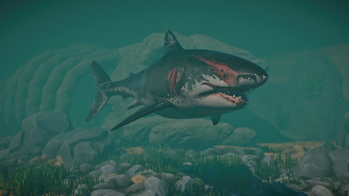 Planet Zoo — Большая белая акула - новый вид