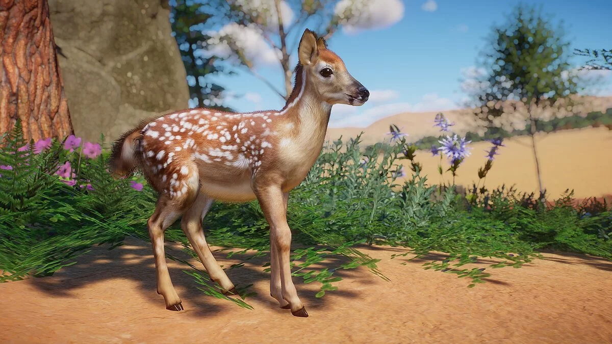 Planet Zoo — Белохвостый олень - новые виды