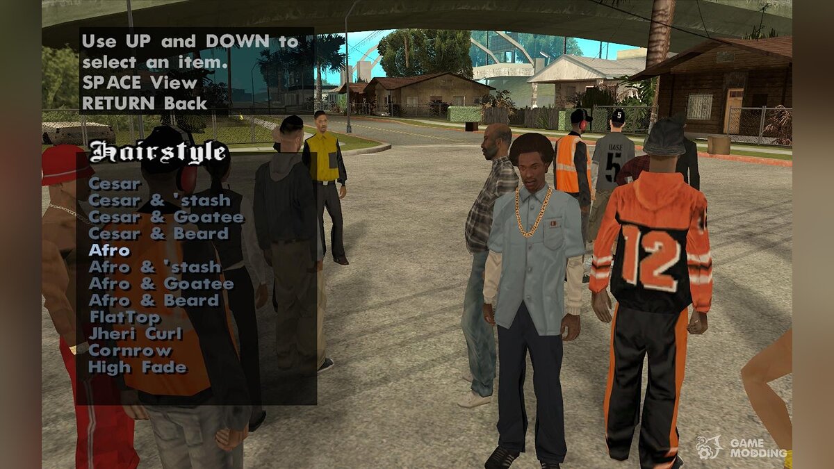 Grand Theft Auto: San Andreas — Изменение скина