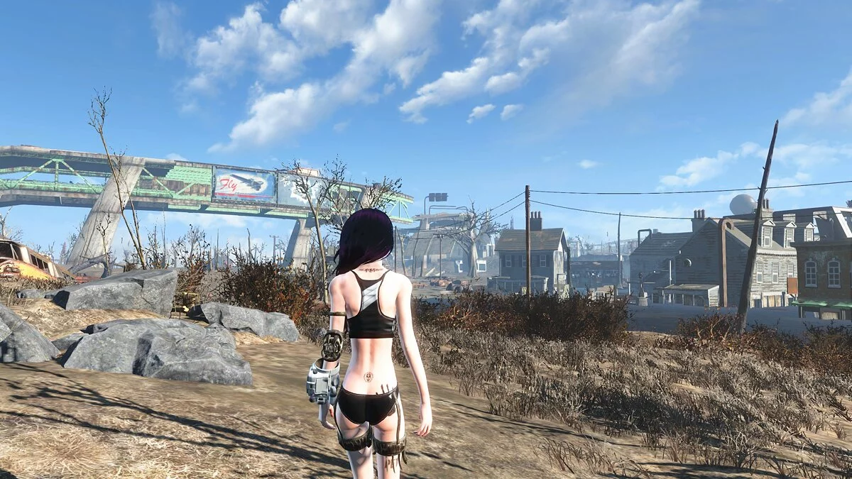 Fallout 4: Game of the Year Edition — Миниатюрный пресет для тела