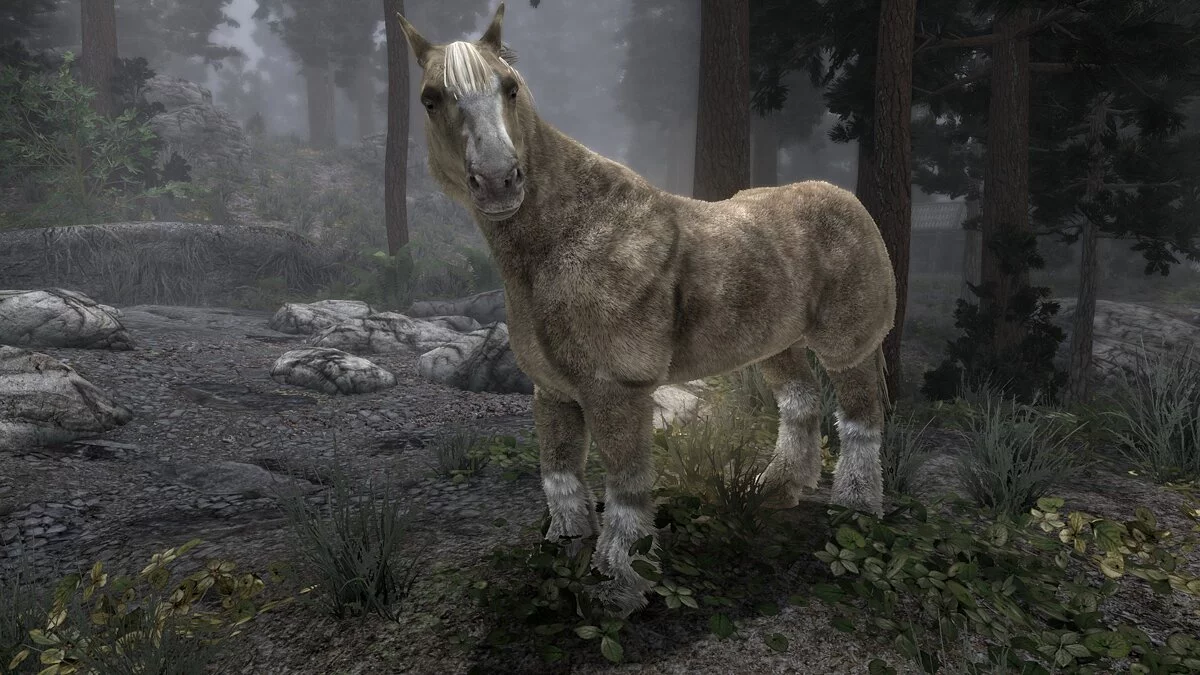 Elder Scrolls 5: Skyrim Special Edition — Призываемые существа Совнгарда