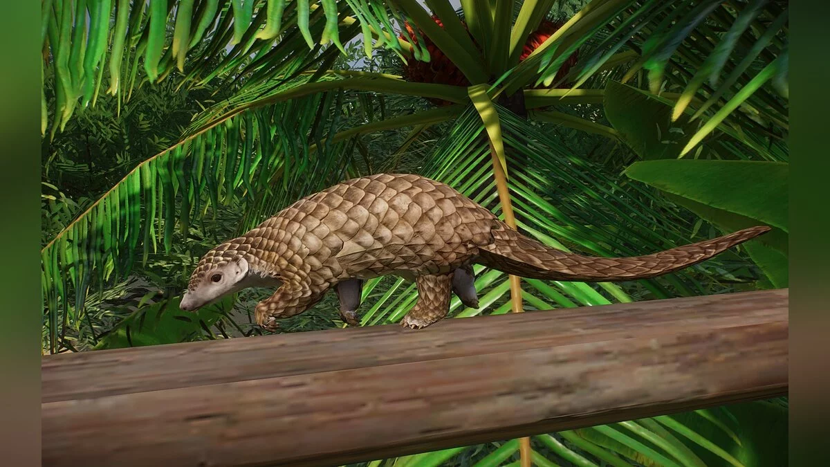 Planet Zoo — Новый вид - Белобрюхий панголин