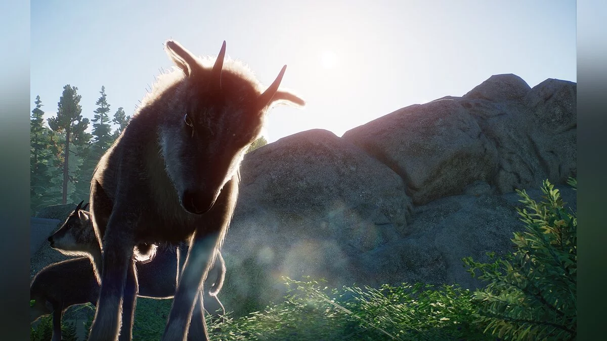 Planet Zoo — Новый вид - длиннохвостый горал