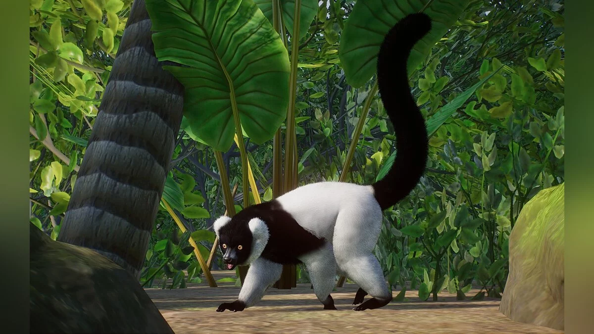 Planet Zoo — Новый вид - горный лемур