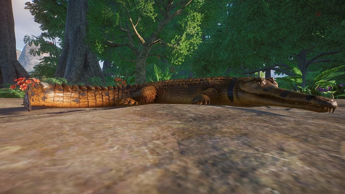 Planet Zoo — Фальшивый гавиал - новый вид