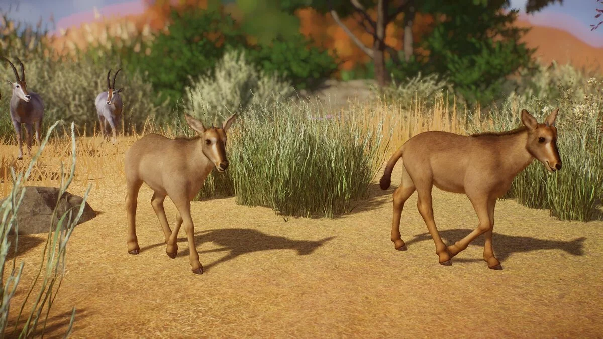 Planet Zoo — Блюбак - новые виды