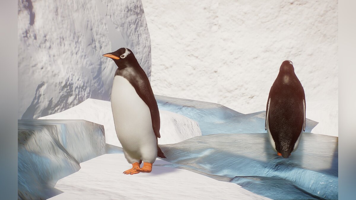 Planet Zoo — Король пингвинов - новый вид