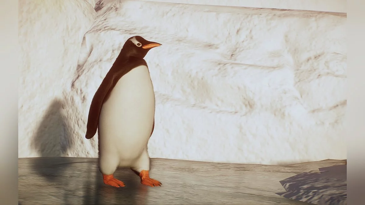 Planet Zoo — Король пингвинов - новый вид