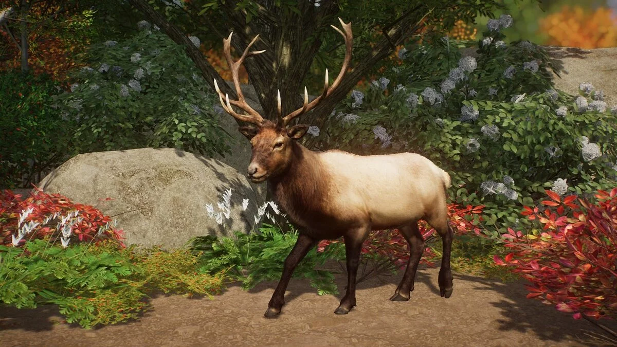 Planet Zoo — Лось Рузвельта - новые виды