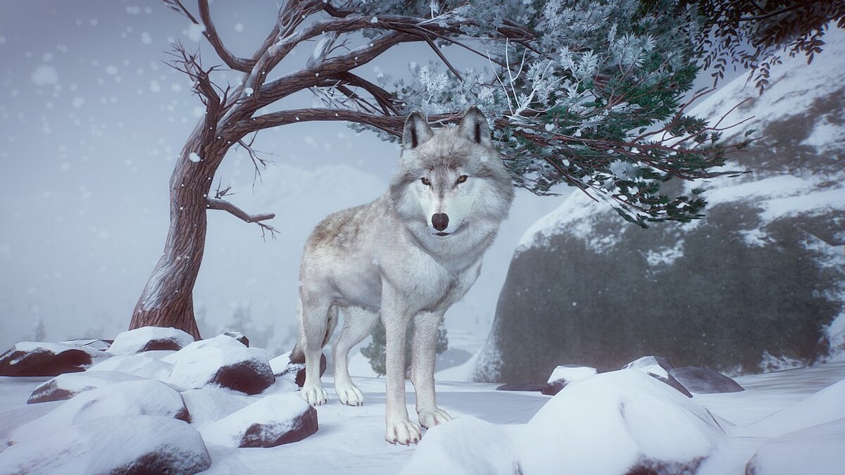 Planet Zoo — Тундровый волк - новые виды