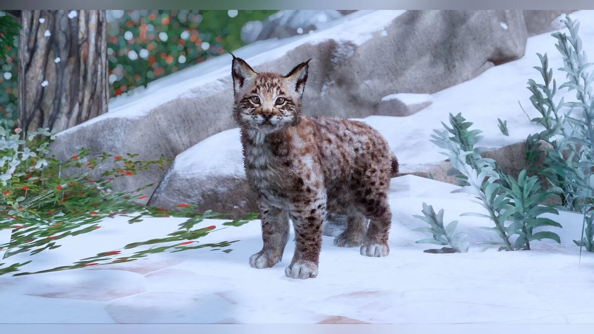 Planet Zoo — Евразийская рысь