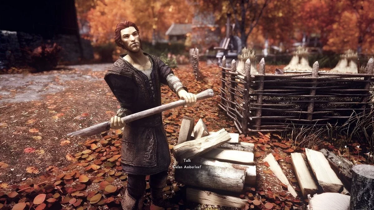 Elder Scrolls 5: Skyrim Special Edition — Улучшенные NPC в Саутвудсе