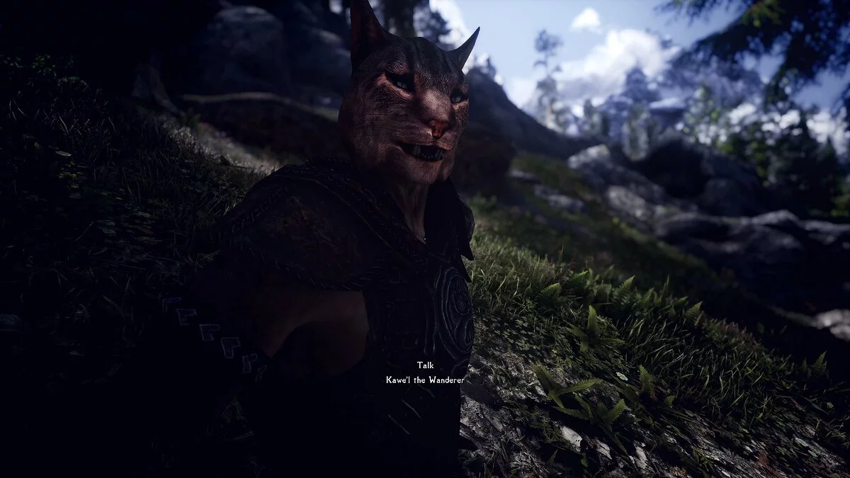 Elder Scrolls 5: Skyrim Special Edition — Улучшенные NPC из мода «Лунная тропа в Эльсвейр»