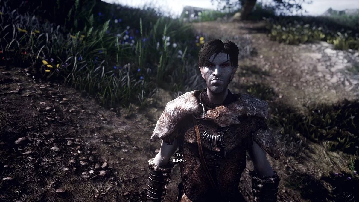 Elder Scrolls 5: Skyrim Special Edition — Улучшенные NPC для мода «Луна и звезда»