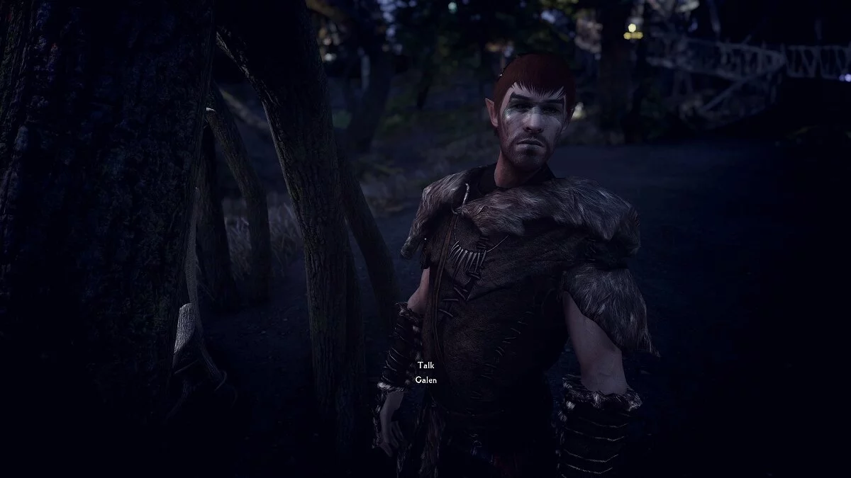 Elder Scrolls 5: Skyrim Special Edition — Улучшенные NPC из мода «Миландриэль - небольшой кусочек Валенвуда»