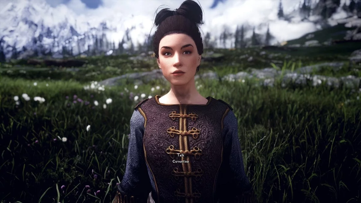 Elder Scrolls 5: Skyrim Special Edition — Улучшенные NPC для мода «Серый капюшон Ноктюрнал»