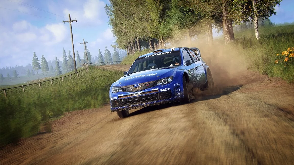 DiRT Rally — Сохранение [Лицензия Steam]