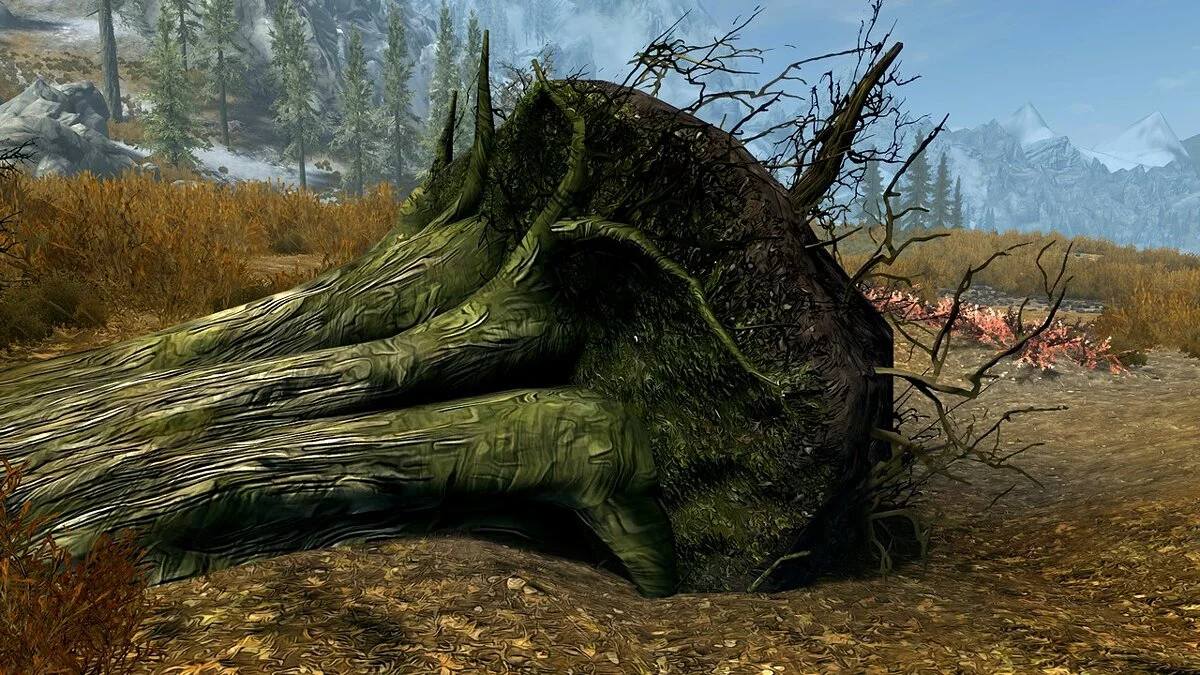 Elder Scrolls 5: Skyrim Special Edition — Ретекстур ландшафта и деревьев в стиле Borderlands