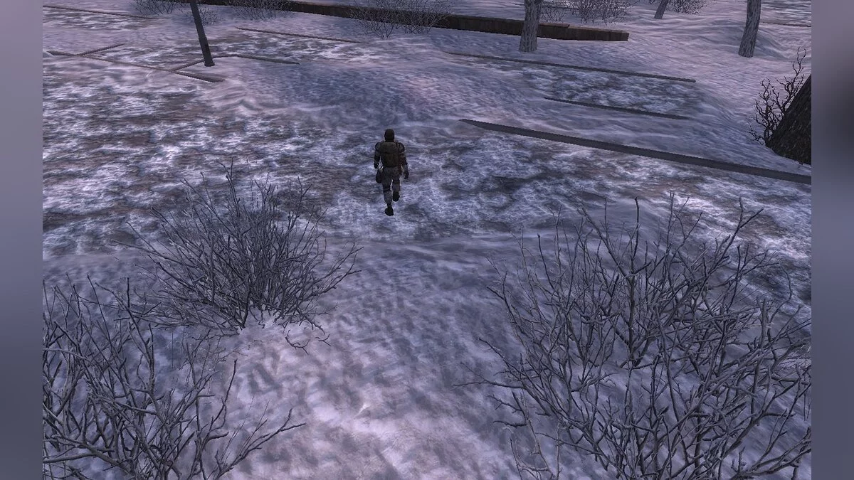 S.T.A.L.K.E.R.: Call of Pripyat — Холодная Кровь: Факты