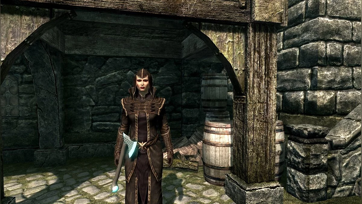 The Elder Scrolls 5: Skyrim Legendary Edition — Кибертопор