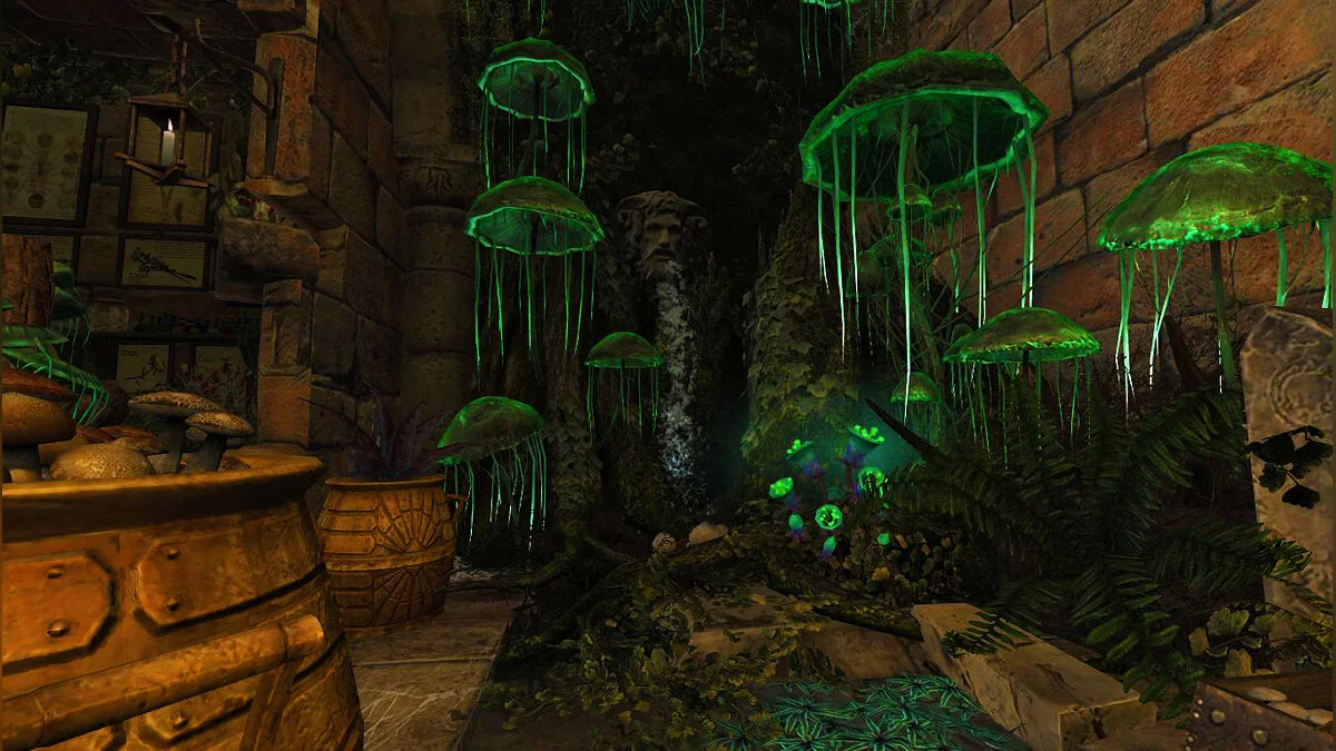 The Elder Scrolls 5: Skyrim Legendary Edition — Набор чумного доктора