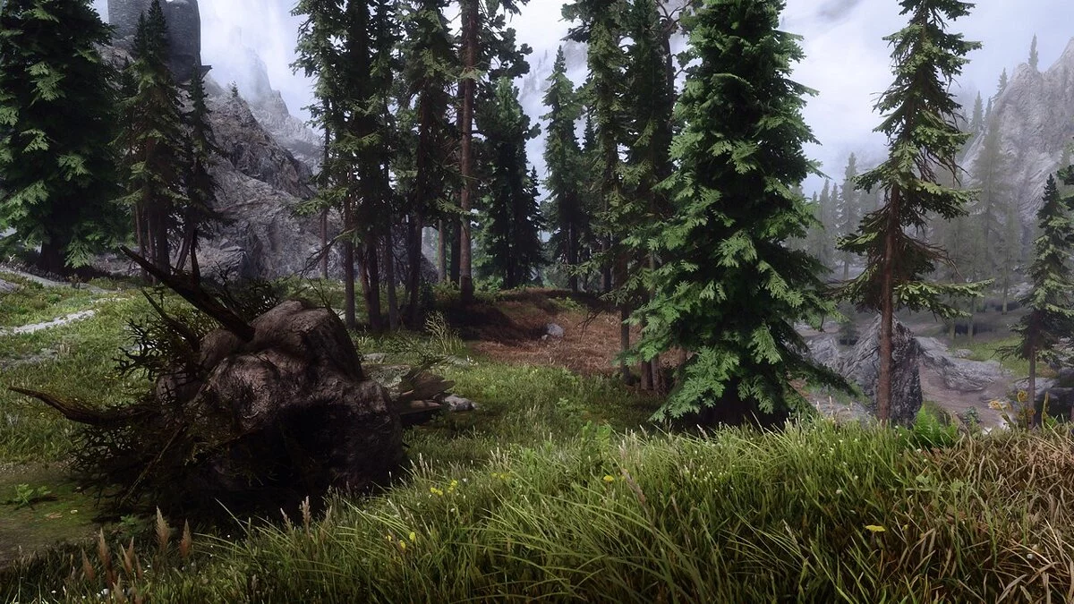 The Elder Scrolls 5: Skyrim Legendary Edition — Улучшение травы и ландшафта
