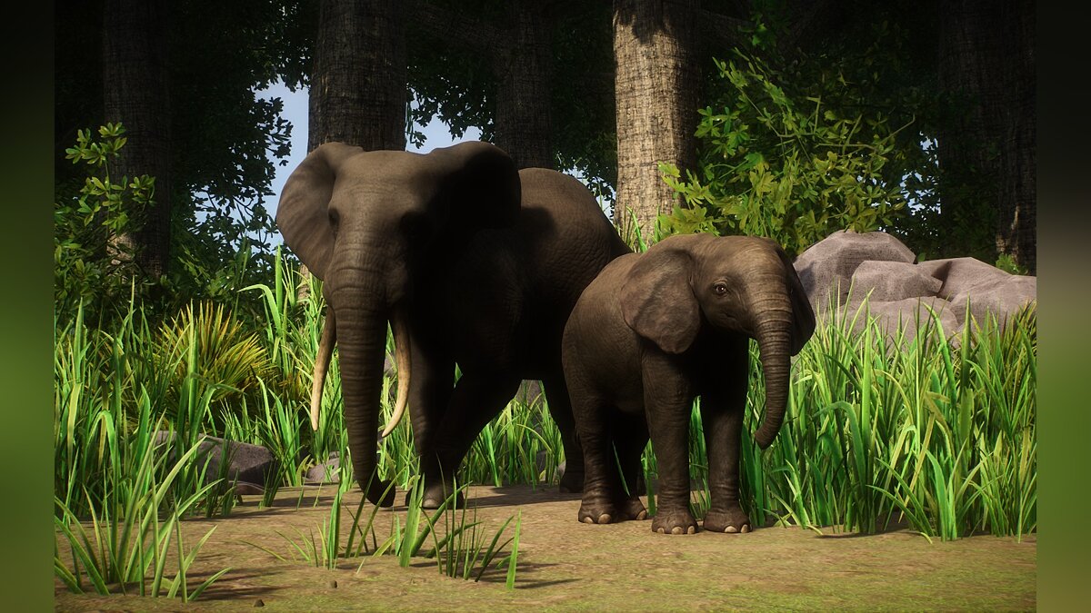 Planet Zoo — Новый вид - Африканский лесной слон