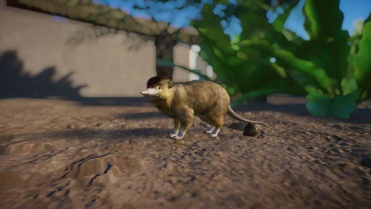 Planet Zoo — Латиноамерикански соленодон