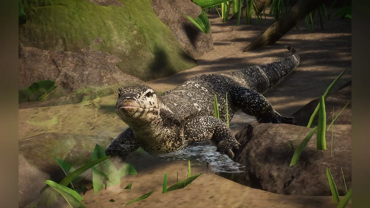 Planet Zoo — Новые виды - азиатский водный монитор