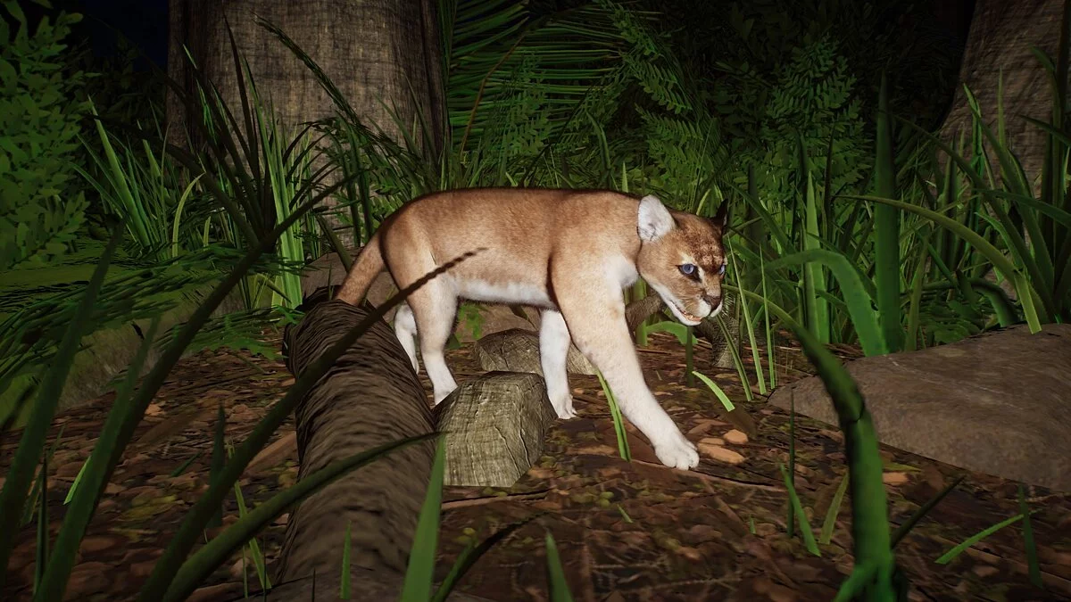 Planet Zoo — Африканский золотой кот