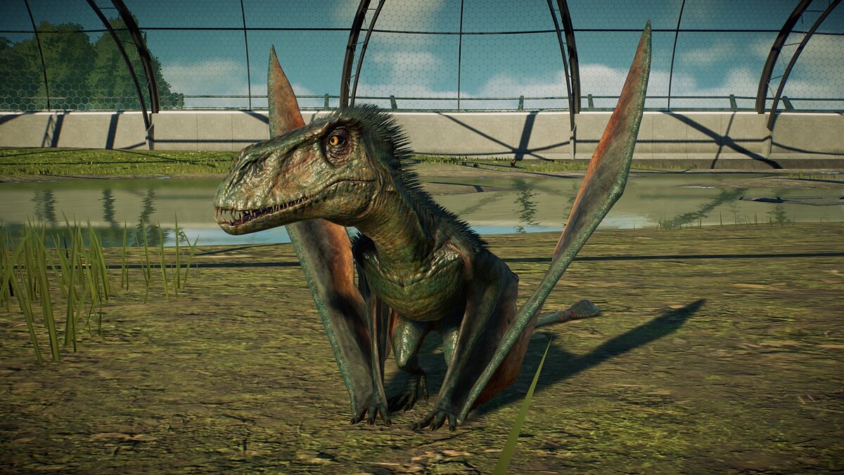 Jurassic World Evolution 2 — Пушистый диморфодон