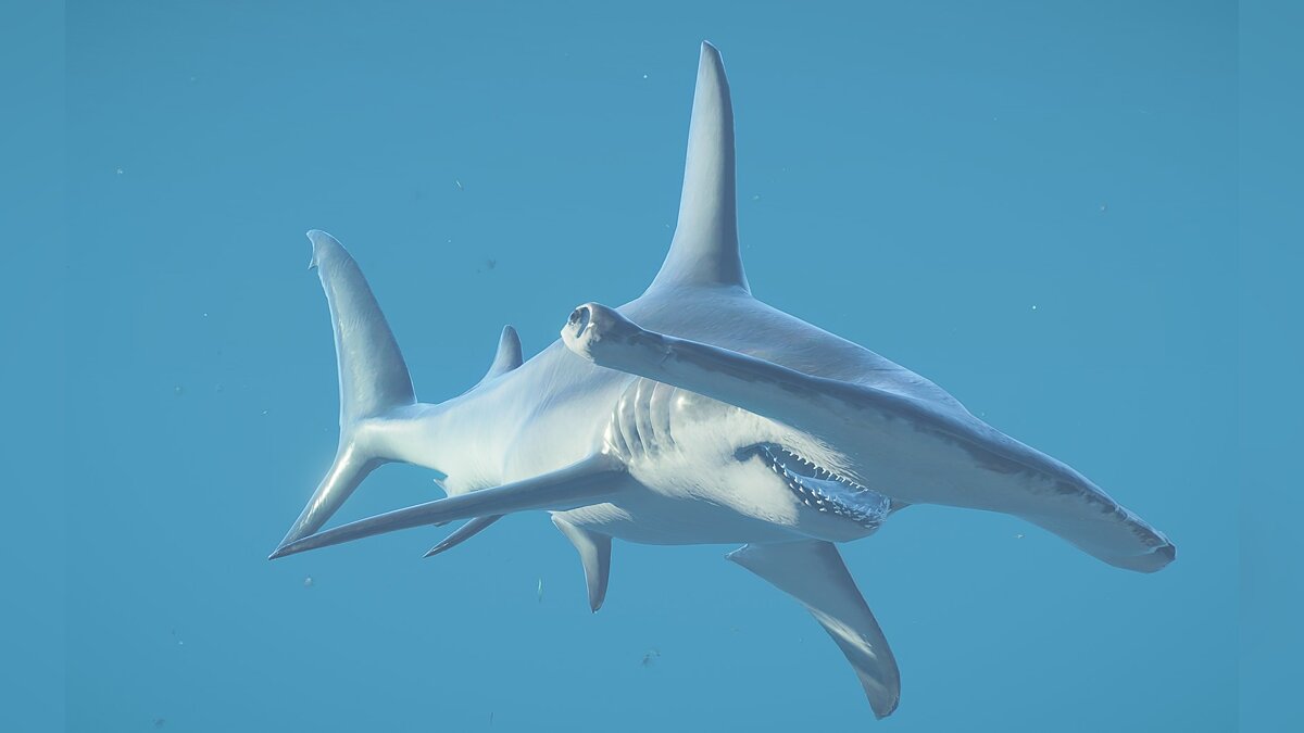 Jurassic World Evolution 2 — Большая акула-молот - замена ихтиозавра