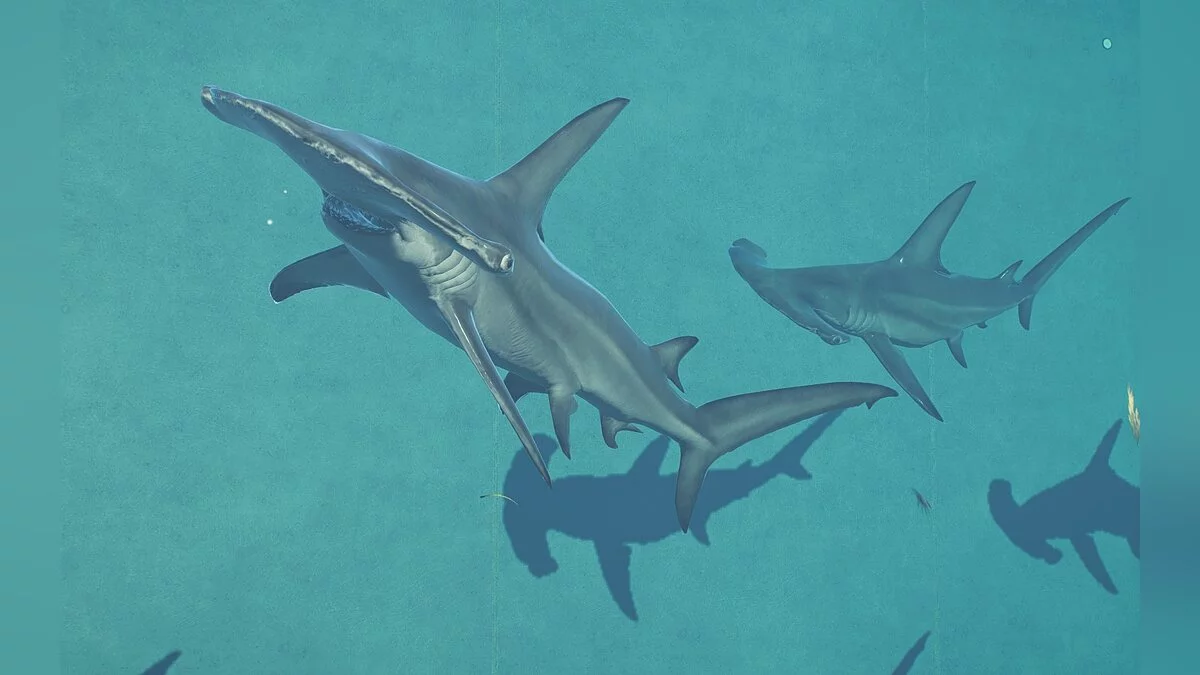 Jurassic World Evolution 2 — Большая акула-молот - замена ихтиозавра