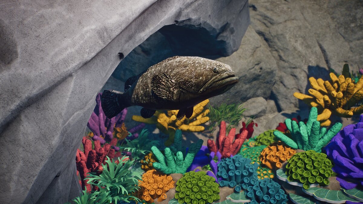 Planet Zoo — Гигантский морской окунь - новые виды