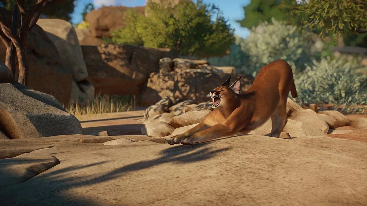 Planet Zoo — Новый вид - каракал