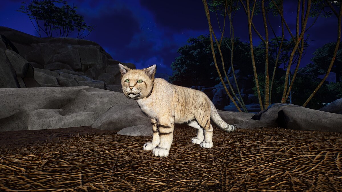 Planet Zoo — Песчаный кот - новый вид