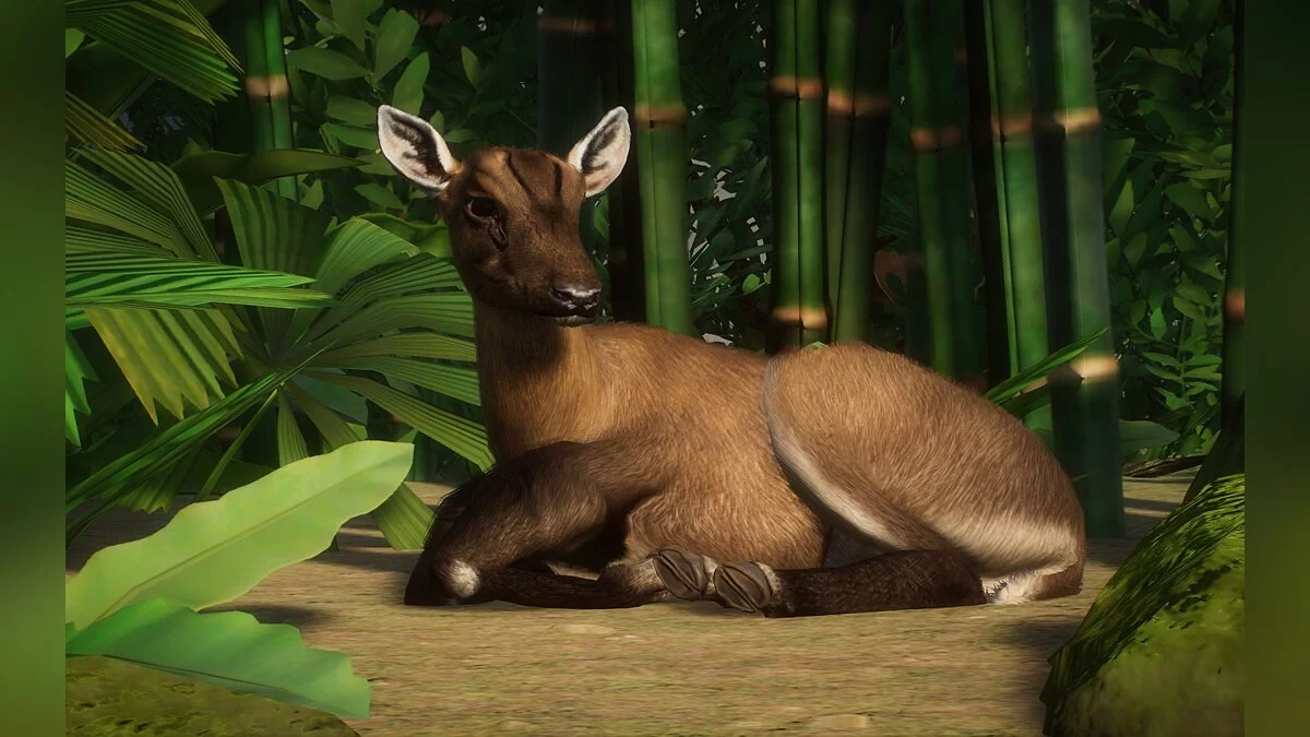 Planet Zoo — Новый вид - гигантский мунтжак