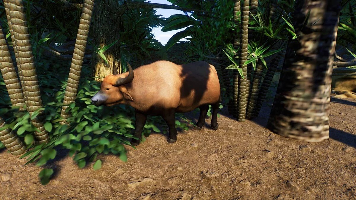 Planet Zoo — Африканский лесной буйвол - новый вид
